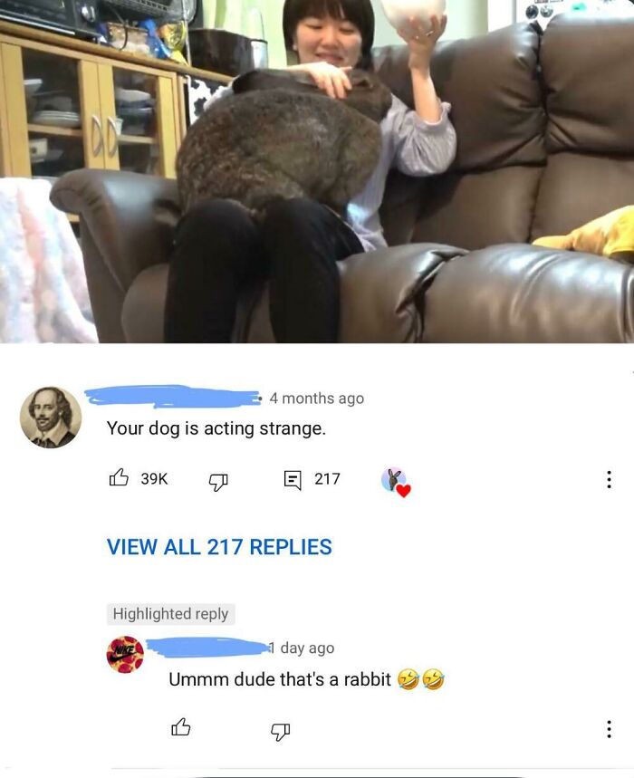 Naw Dude, It's An Owl