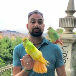 stef_vartolomeev avatar