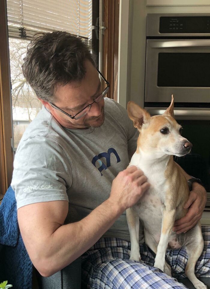 Three Days In To My Husband Being Home 24/7 And My Dog Has Become A Full On Traitorous Bastard. It’s Like I Don’t Exist