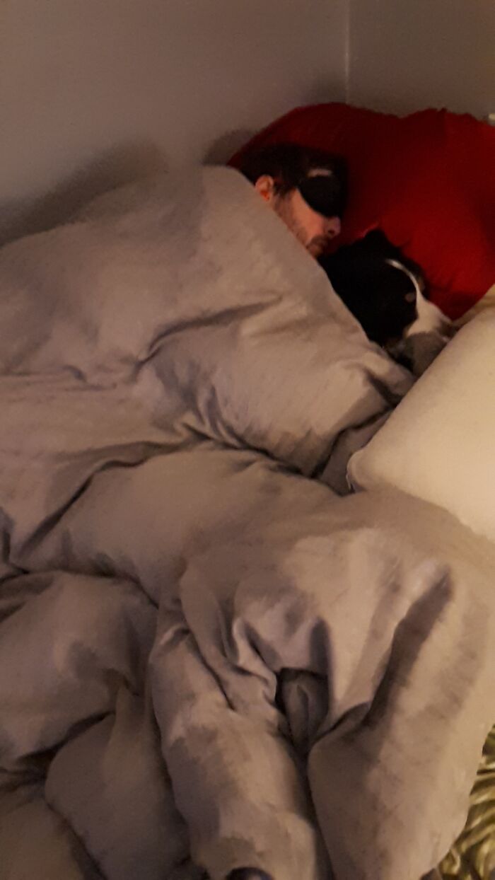 Get A Boyfriend They Said, It Will Be Fun. Jerk Stole My Dog, My Trusted Sleeping Cuddle Buddy