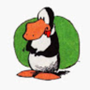 davidecattani avatar