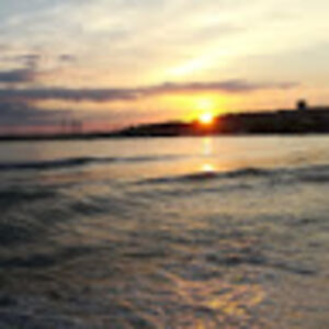 isabellebalague avatar