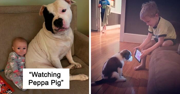 If You Don’t Think Your Kids Need A Dog After Seeing These Pics, You Must Be A Cat (New Pics)