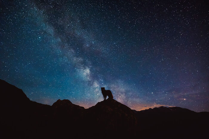 One Way Ticket To Paradise - I Will Take You On A Little Journey