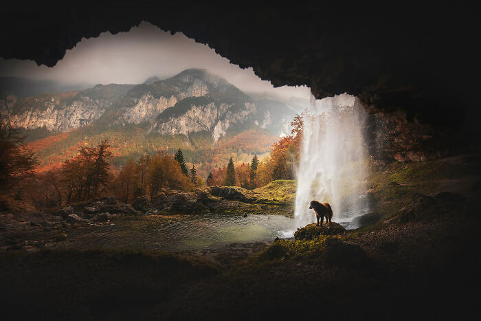 One Way Ticket To Paradise - I Will Take You On A Little Journey