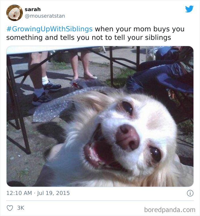 Funny-Siblings-Tweets