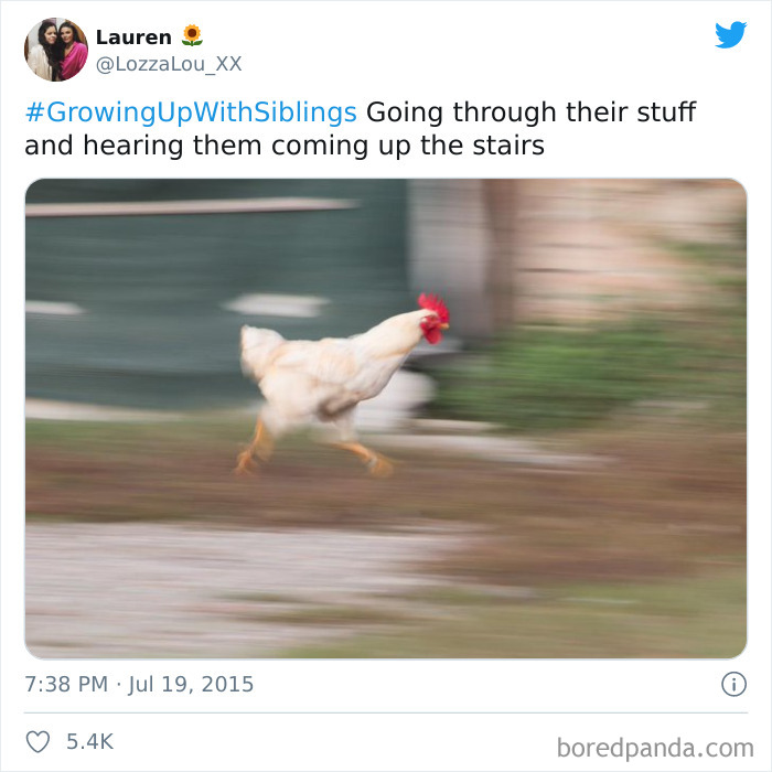 Funny-Siblings-Tweets