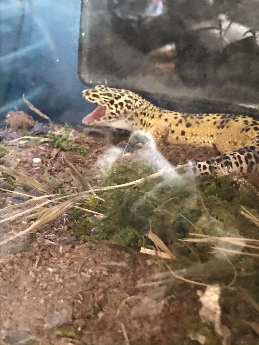 Thought You Guys Might Like Some Cute Animals :) Thought You Guys Might Like Some Cute Animals :)