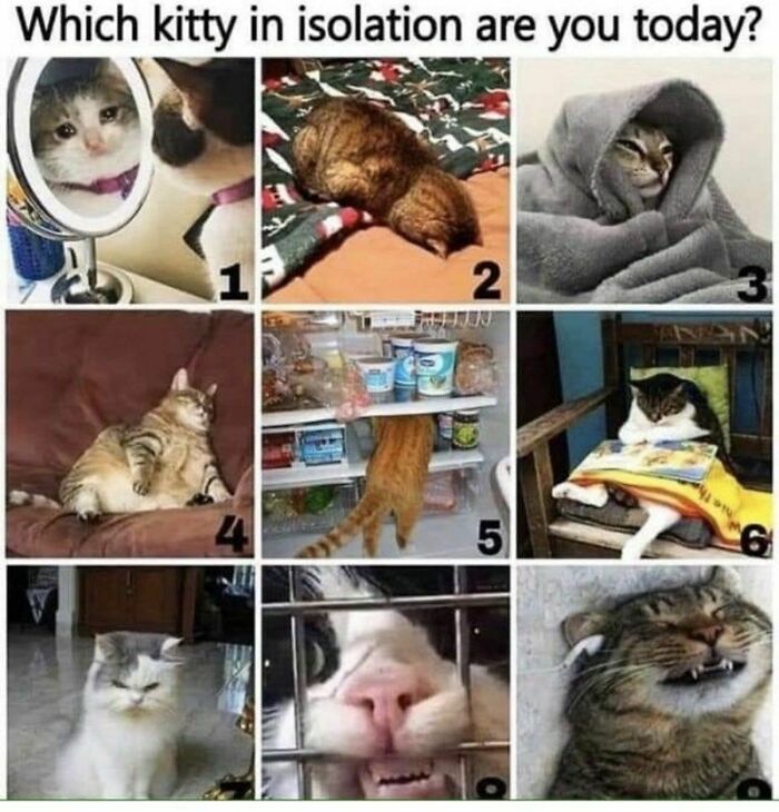 I’d Say I’m 3, 4,5, And 9