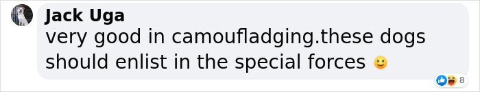 Woman Gets 2 New Dogs, Finds Out They Perfectly Match Her Couch