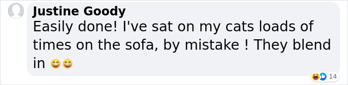 Woman Gets 2 New Dogs, Finds Out They Perfectly Match Her Couch