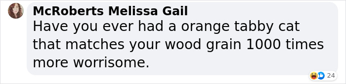 Woman Gets 2 New Dogs, Finds Out They Perfectly Match Her Couch