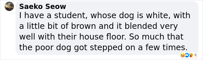 Woman Gets 2 New Dogs, Finds Out They Perfectly Match Her Couch