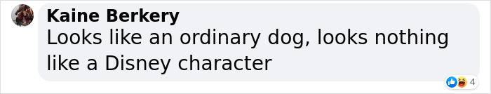 Video Of Cocker Spaniel With "Disney" Looks Goes Viral On TikTok Video Of Cocker Spaniel With "Disney" Looks Goes Viral On TikTok