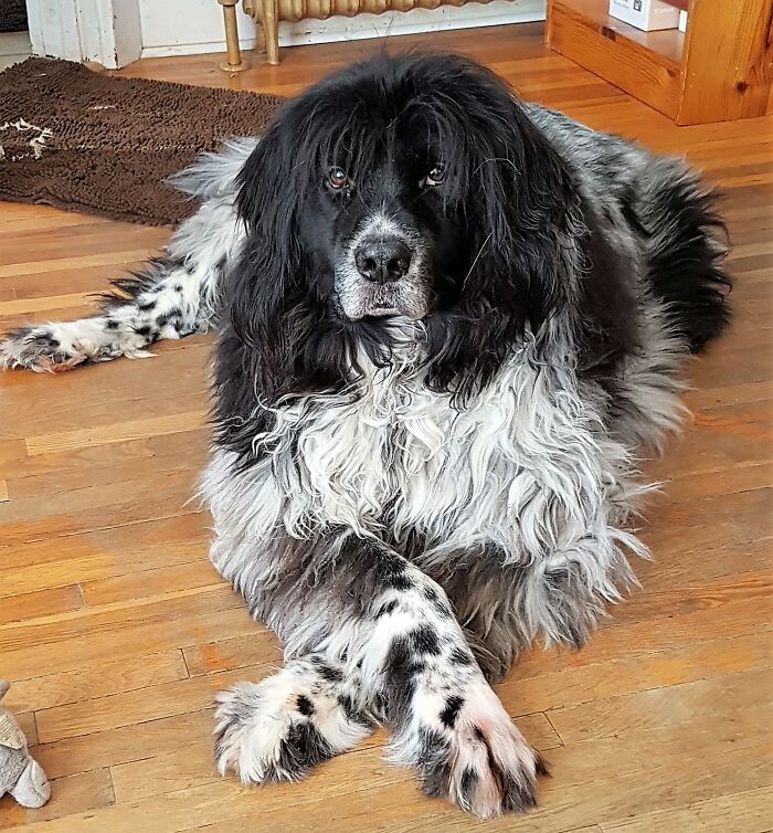 Just Relaxing After A Hard Day!