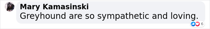 Injured Dog Owner Spends $400 On Vet For His Limping Dog Only To Find Out He Was Copying The Owner Out Of Sympathy Injured Dog Owner Spends $400 On Vet For His Limping Dog Only To Find Out He Was Copying The Owner Out Of Sympathy