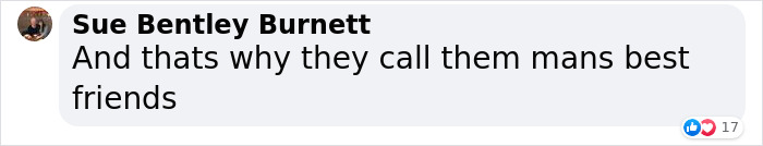Injured Dog Owner Spends $400 On Vet For His Limping Dog Only To Find Out He Was Copying The Owner Out Of Sympathy Injured Dog Owner Spends $400 On Vet For His Limping Dog Only To Find Out He Was Copying The Owner Out Of Sympathy