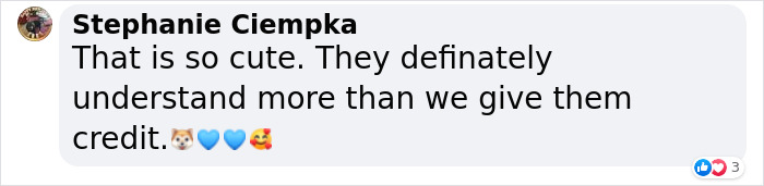 Injured Dog Owner Spends $400 On Vet For His Limping Dog Only To Find Out He Was Copying The Owner Out Of Sympathy