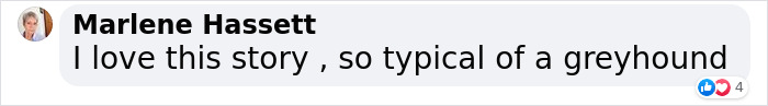 Injured Dog Owner Spends $400 On Vet For His Limping Dog Only To Find Out He Was Copying The Owner Out Of Sympathy Injured Dog Owner Spends $400 On Vet For His Limping Dog Only To Find Out He Was Copying The Owner Out Of Sympathy