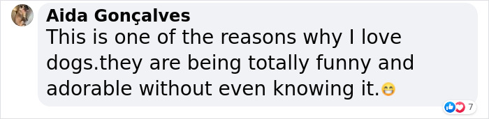 Injured Dog Owner Spends $400 On Vet For His Limping Dog Only To Find Out He Was Copying The Owner Out Of Sympathy Injured Dog Owner Spends $400 On Vet For His Limping Dog Only To Find Out He Was Copying The Owner Out Of Sympathy