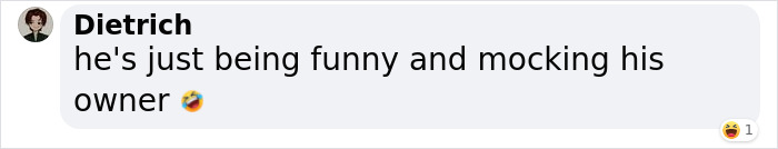 Injured Dog Owner Spends $400 On Vet For His Limping Dog Only To Find Out He Was Copying The Owner Out Of Sympathy Injured Dog Owner Spends $400 On Vet For His Limping Dog Only To Find Out He Was Copying The Owner Out Of Sympathy