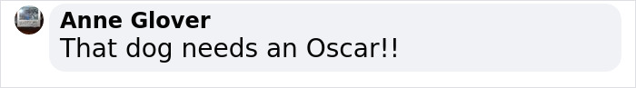 Injured Dog Owner Spends $400 On Vet For His Limping Dog Only To Find Out He Was Copying The Owner Out Of Sympathy Injured Dog Owner Spends $400 On Vet For His Limping Dog Only To Find Out He Was Copying The Owner Out Of Sympathy