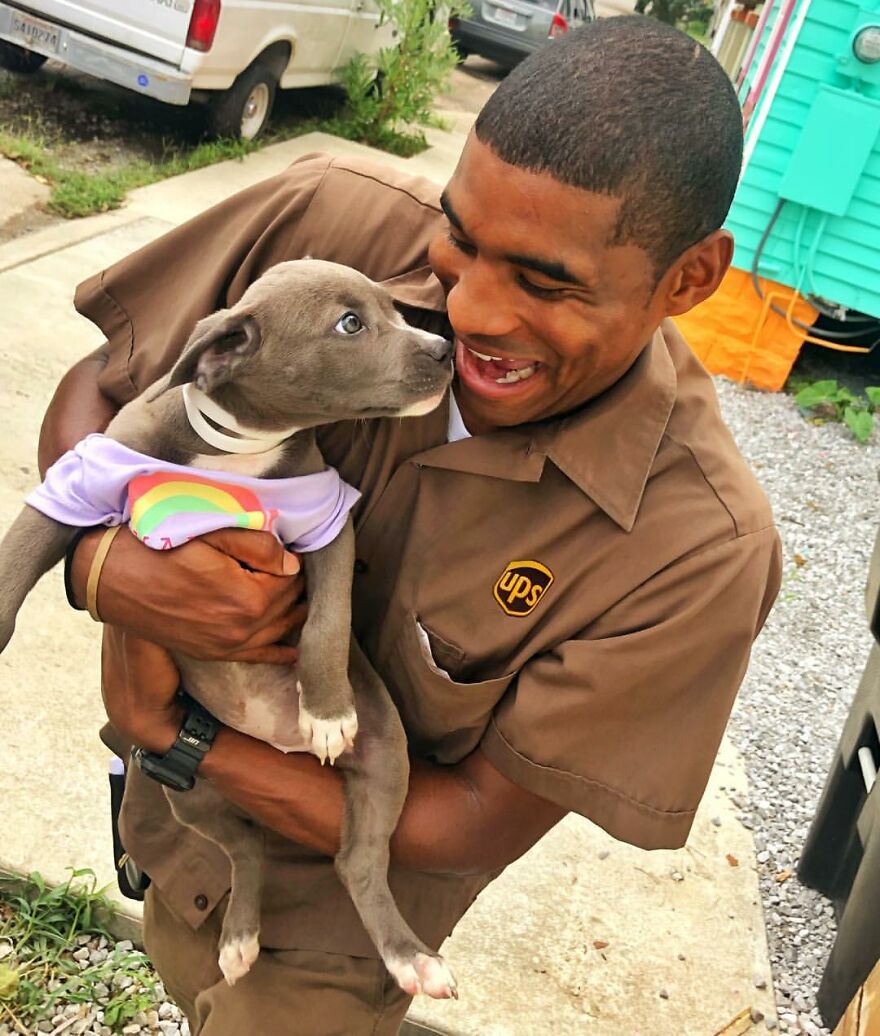 Delivery Man Continues To Take Breaks On The Way To Take Pictures And Pet The Dogs He Meets (New Pics)