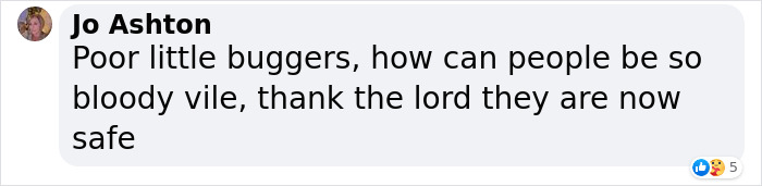 These Dogs Were So Neglected, Rescuers Couldn't Tell What Breed They Are But Their Transformations Look Amazing These Dogs Were So Neglected, Rescuers Couldn't Tell What Breed They Are But Their Transformations Look Amazing