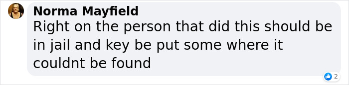 These Dogs Were So Neglected, Rescuers Couldn't Tell What Breed They Are But Their Transformations Look Amazing These Dogs Were So Neglected, Rescuers Couldn't Tell What Breed They Are But Their Transformations Look Amazing