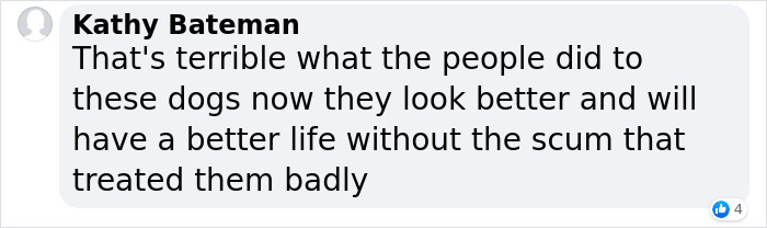 These Dogs Were So Neglected, Rescuers Couldn't Tell What Breed They Are But Their Transformations Look Amazing These Dogs Were So Neglected, Rescuers Couldn't Tell What Breed They Are But Their Transformations Look Amazing