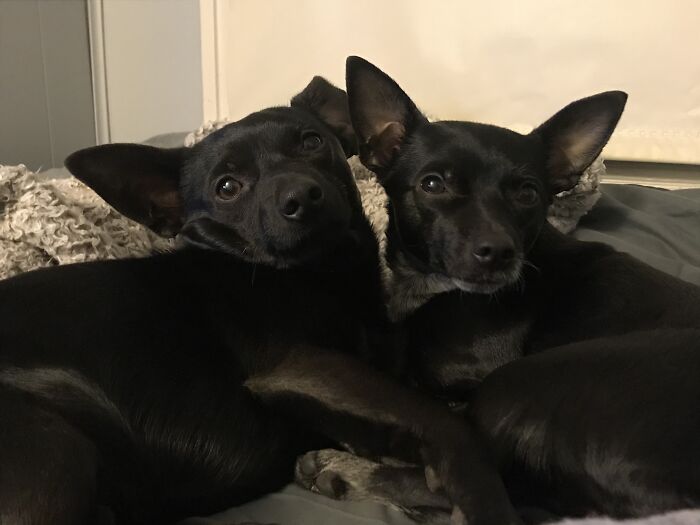 Bestest Friends ! (Brother And Sister)