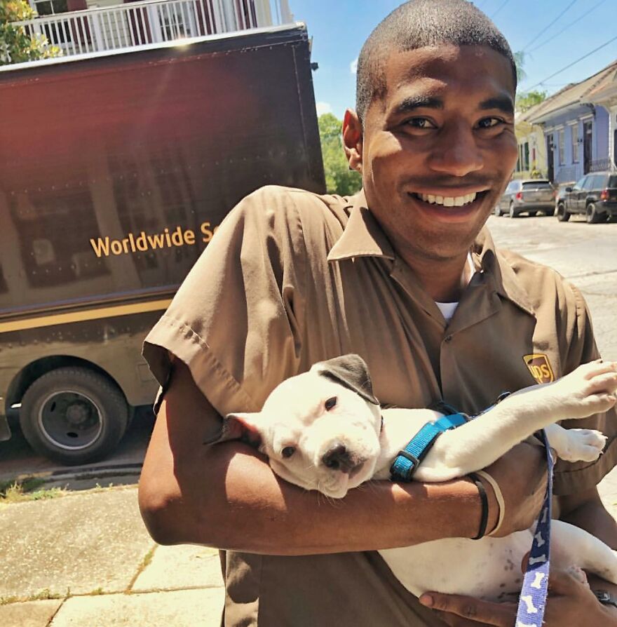 Delivery Man Continues To Take Breaks On The Way To Take Pictures And Pet The Dogs He Meets (New Pics)