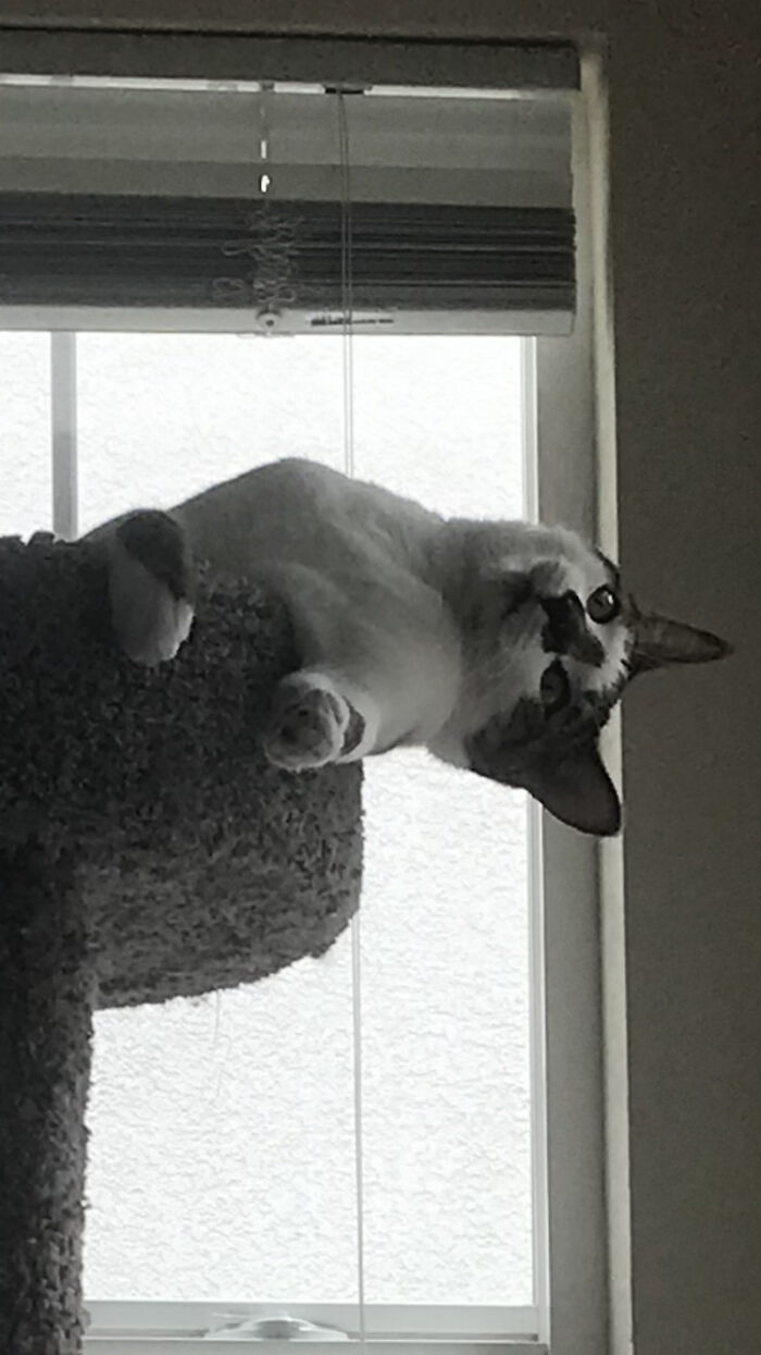 Broke In All Sorts Of Ways