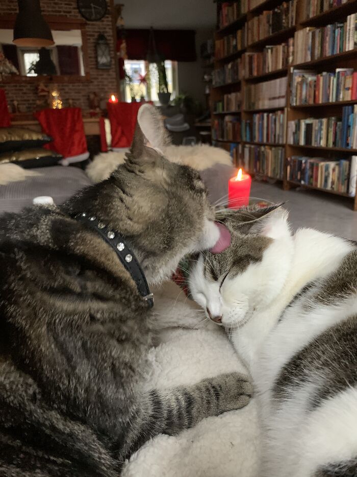 Two Seconds Before She (R) Lashes Out At Him...