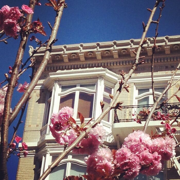 San Francisco In The Spring