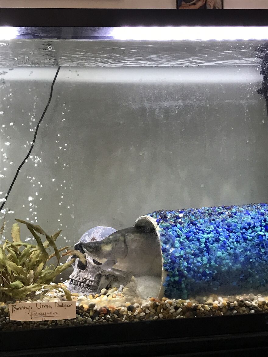 Thought You Guys Might Like Some Cute Animals :) Thought You Guys Might Like Some Cute Animals :)