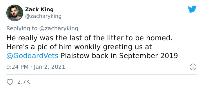 Cat Brings Its Parents A Note From The Neighbors He Visits, They Become Pen Pals With The Cat As Their Postman