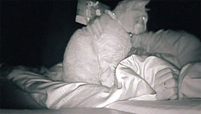 Woman Says She Always Wakes Up Tired, Sets Up A Camera To Witness Her Cat Constantly Tapping Her Body For 4 Hours Straight Woman Says She Always Wakes Up Tired, Sets Up A Camera To Witness Her Cat Constantly Tapping Her Body For 4 Hours Straight