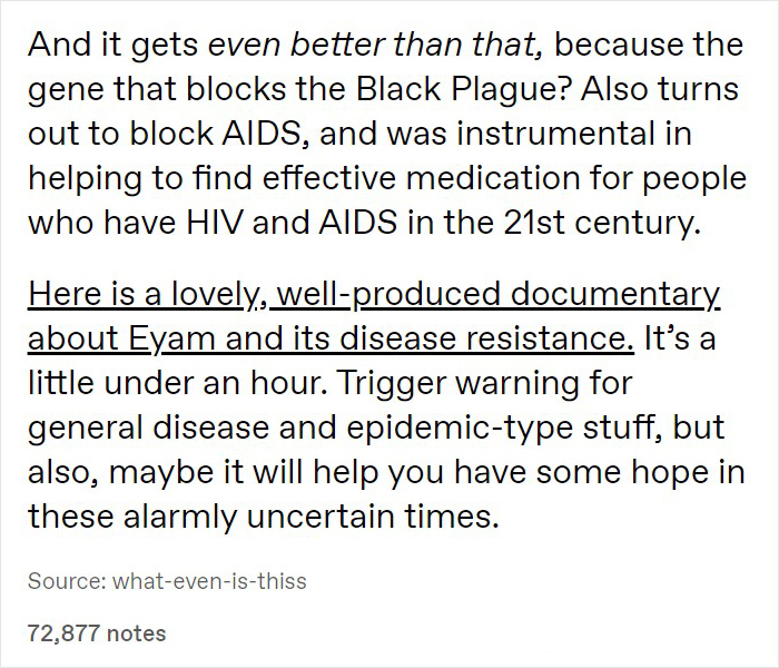 How This English Village Dealt With An Outbreak Of The Plague In 1665 Fascinates Internet Users, Holds Many Lessons For Us Today