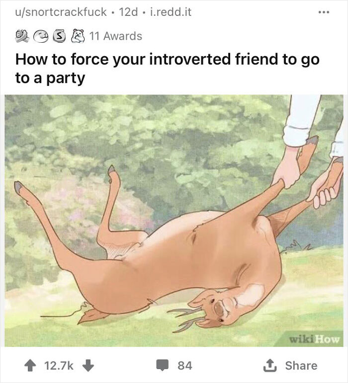WikiHow image of a person playfully dragging a fictional animal with a humorous caption about introverted friends.