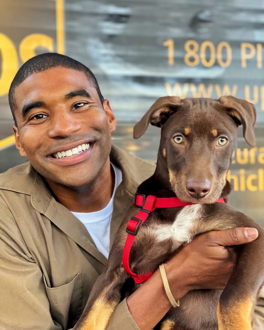 Delivery Man Continues To Take Breaks On The Way To Take Pictures And Pet The Dogs He Meets (New Pics)