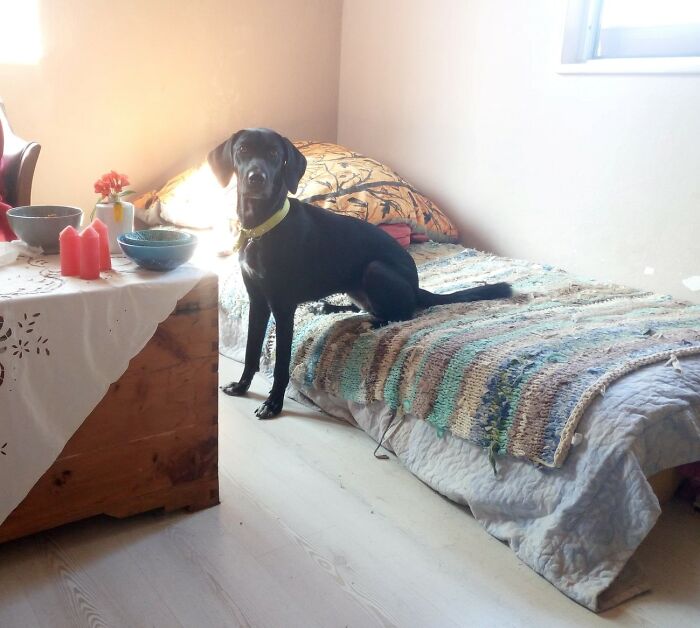 And Mocha 2 Years Later