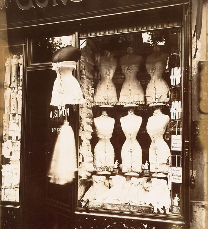 30 Interesting Things People Didn’t Learn At School And Decided To Share Them In This Online Group