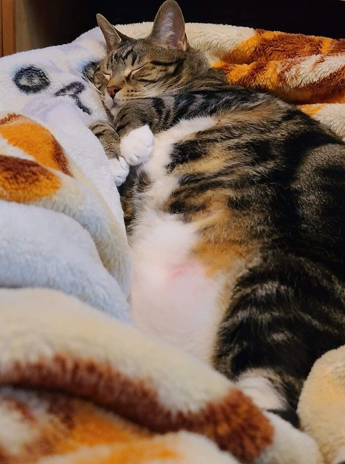 My Big Chonky Baby ❤️