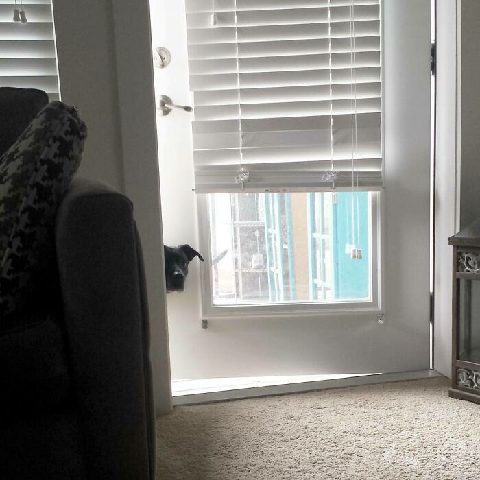 She's Always Creeping On Me