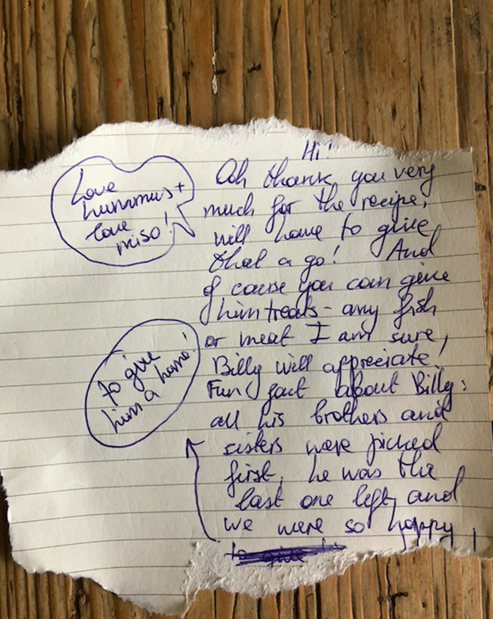 Cat Brings Its Parents A Note From The Neighbors He Visits, They Become Pen Pals With The Cat As Their Postman Cat Brings Its Parents A Note From The Neighbors He Visits, They Become Pen Pals With The Cat As Their Postman