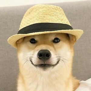 unicornnarwhalmel avatar