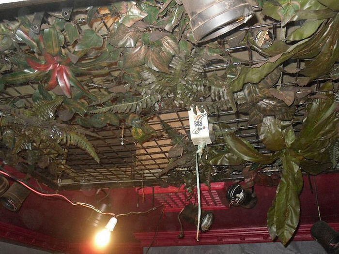 Pub In The UK 'Trapped In Time' For 27 Years And The Glasses Are Still Unwashed