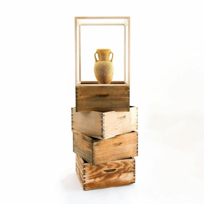 60,000 Bees Helped Create This Honeycomb Nefertiti Statue