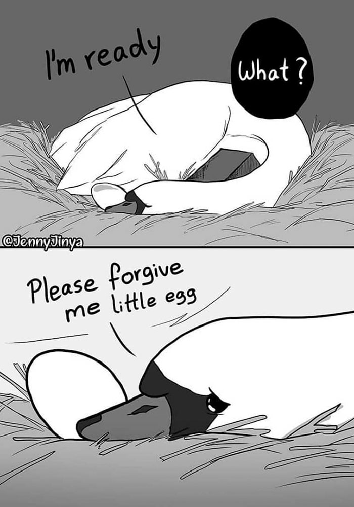 Artist Who Makes People Cry With Her Animal Comics Just Released A New One About A Swan Inspired By True Events